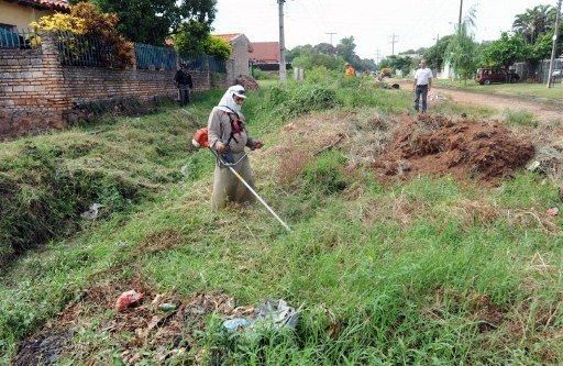Aumenta a 21 la cifra de muertos en Honduras por dengue hemorrágico