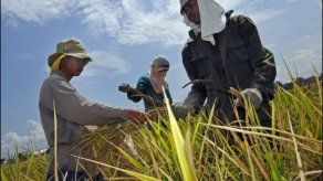 Banco Asia dona 500 millones para lucha contra crisis