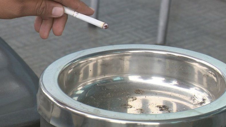Ejecutivo veta Ley Antitabaco por considerarla lesiva para la salud