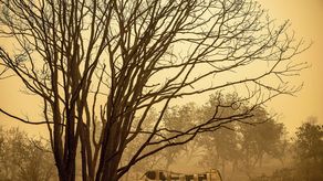 Casi 5,000 viviendas en el norte de California están amenazadas.