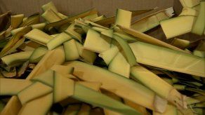 Niños participan de taller y elaboran cruces con palmas