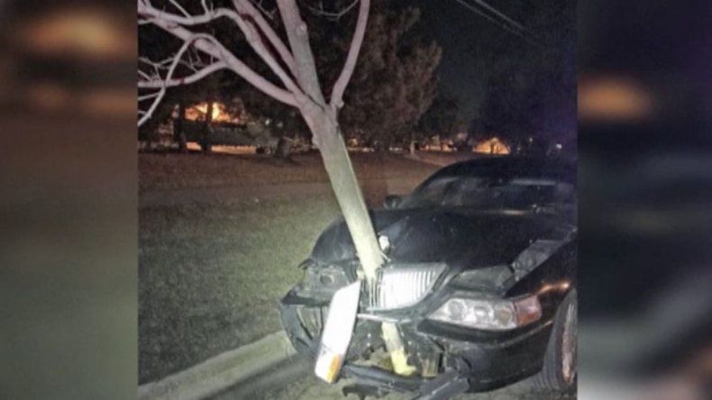 Conductor ebrio choca y sigue su marcha con árbol incrustado en el auto