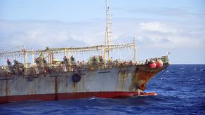 Hubo diversas propuestas, una de ellas de China, para limitar la cantidad de calamar que se puede pescar.