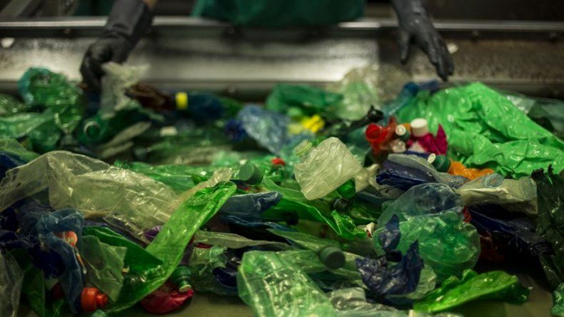 Descubren una bacteria que descompone el plástico