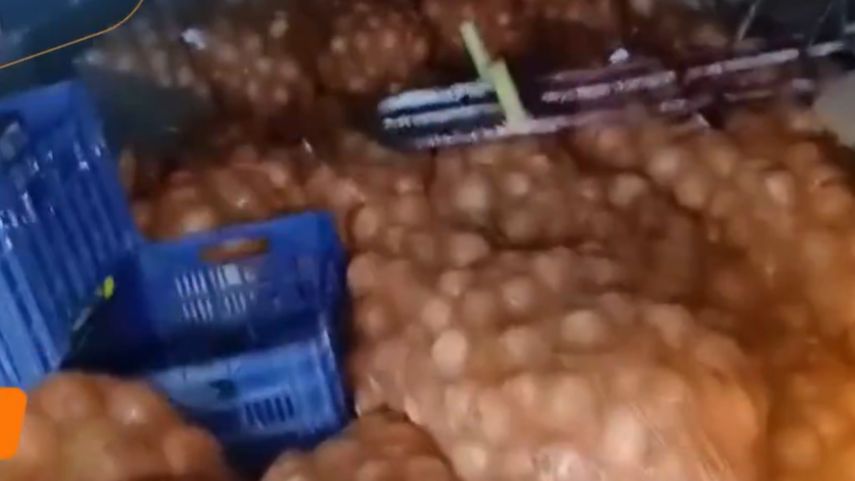 Aduanas retiene camión con más de 200 bolsas de cebolla presuntamente de contrabando.