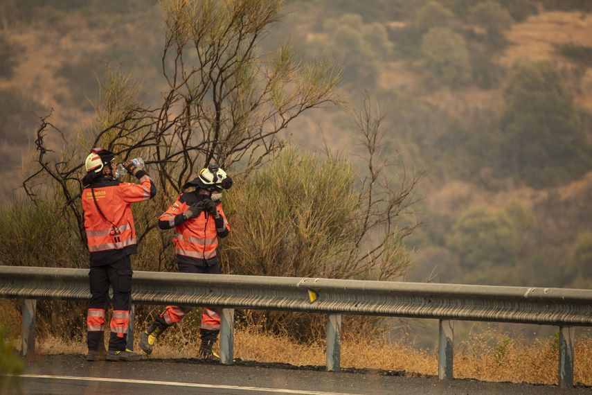 Se registra incendio forestal en España.