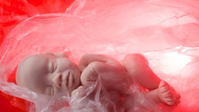 Tribunal de EE.UU. ratifica derecho a aborto en inmigrantes menores de edad