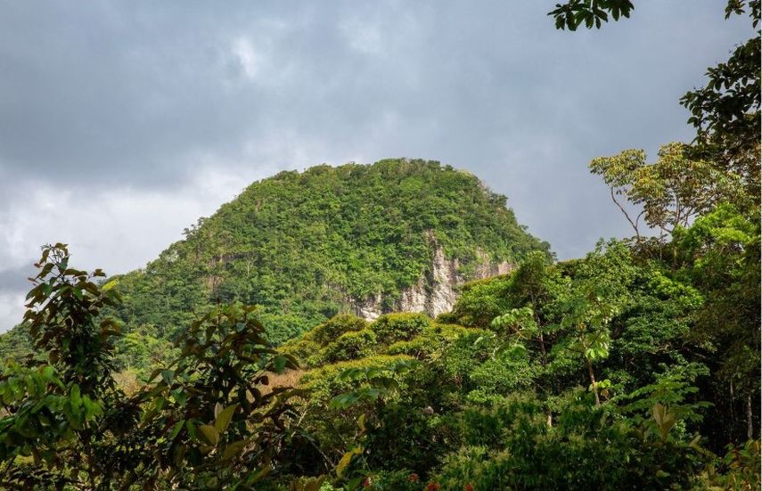 El nombre Cacao Cerro La Vieja rinde honor al lugar: cerro La Vieja, llamado así en honor a la pareja del líder indígena y general revolucionario Victoriano Lorenzo. El nombre Cacao Cerro La Vieja rinde honor al lugar: cerro La Vieja, llamado así en honor a la pareja del líder indígena y general revolucionario Victoriano Lorenzo.