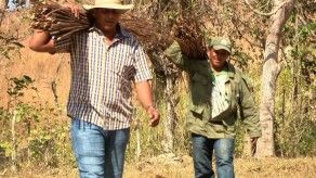 Del puente pa allá - Cosecha de Serbulaca