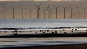 El viento generó más de la cuarta parte de la electricidad británica en 2021.
