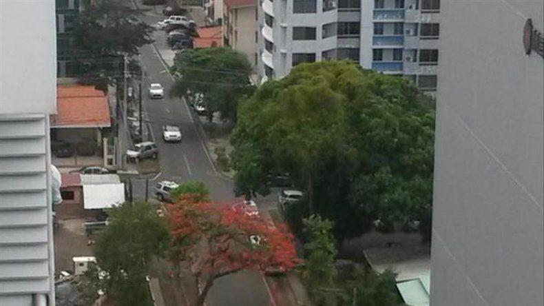 Árbol cae sobre un auto en San Francisco
