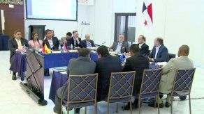 Consejo Nacional de Partidos Políticos abordó sobre borrador de reglamentación electoral