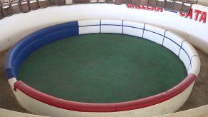 Galleros de Panamá Oeste piden que se les permita retomar sus actividades