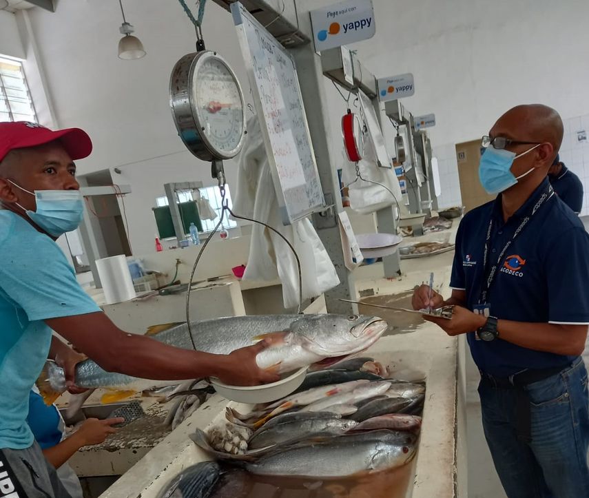 Personal de la Acodeco realiza las verificaciones.