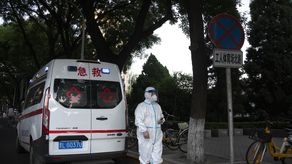 OMS: Casos y muertes por coronavirus bajan globalmente