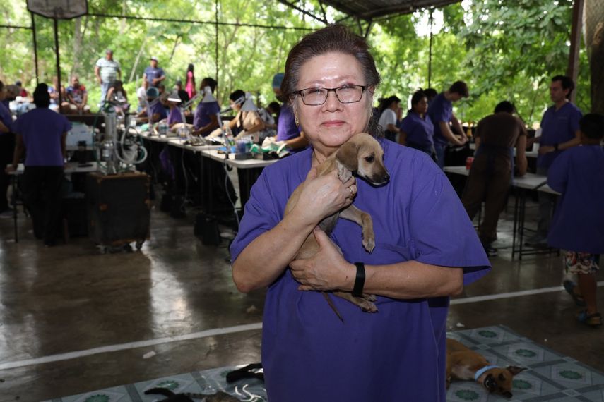 Spay Panamá opera al animal doméstico número 350