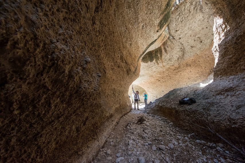 Los arrecifes fósiles conservados de la República Dominicana datan de hace 7000 años y revelaron cambios importantes en los ecosistemas arrecifales del Caribe a lo largo del tiempo. Los arrecifes fósiles conservados de la República Dominicana datan de hace 7000 años y revelaron cambios importantes en los ecosistemas arrecifales del Caribe a lo largo del tiempo.