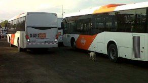 Servicio de MetroBus podría ser gratuito el 4 de mayo