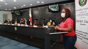 La diputada Kayra Harding llevó la propuesta sobre lacreación del corregimiento a la Comisión.