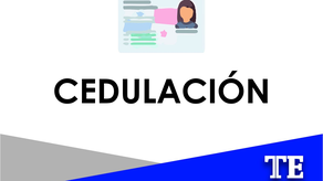 Tribunal Electoral anuncia giras de identificación ciudadana