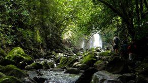 Foto Ilustrativa/ MiAmbiente