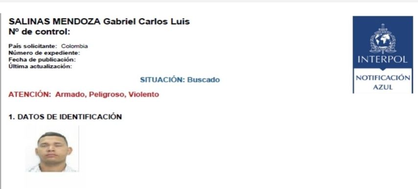 Gabriel Carlos Luis Salinas Mendoza