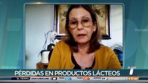 Cada día se están perdiendo unos 500 mil litros de leche a nivel nacional