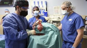 El equipo de Maryland dijo que el cerdo donante estaba saludable y pasó las pruebas requeridas por la FDA.