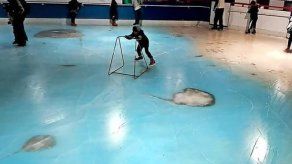 Parque temático nipón se disculpa por congelar 5 mil peces en pista de hielo
