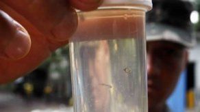 Al menos 4 muertos y más de mil casos sospechosos de dengue en Honduras