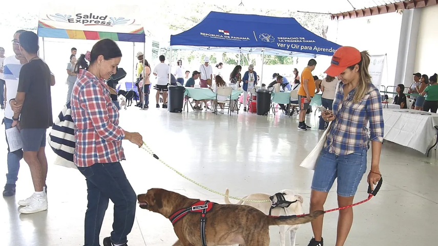 Feria de vacunación para mascotas.
