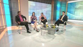 Piden regular sobre Crisol de Razas para proteger la mano de obra panameña