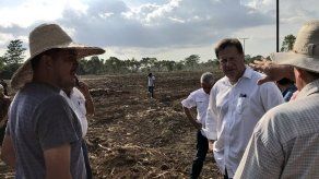 Contratan a primeros 54 trabajadores para reactivación bananera de Puerto Armuelles