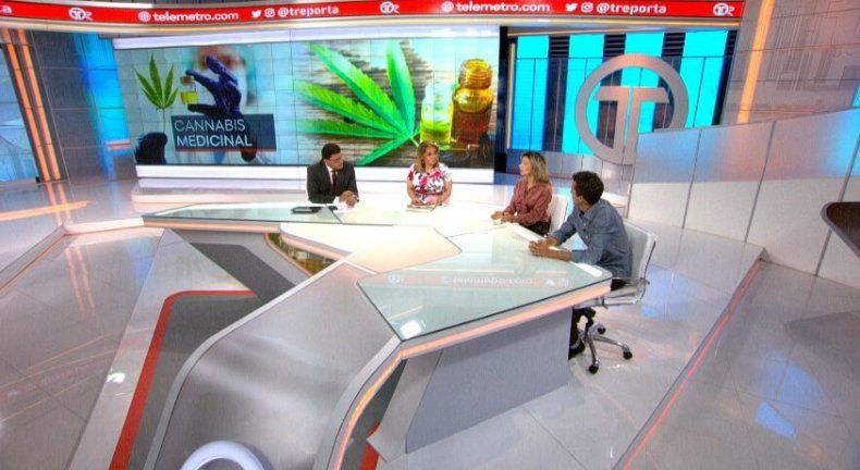Proyecto sobre cannabis medicinal busca dar la opción para que pueda ser recetado