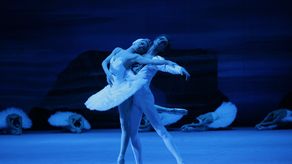 Ballet Clásico de San Petersburgo llega a Panamá