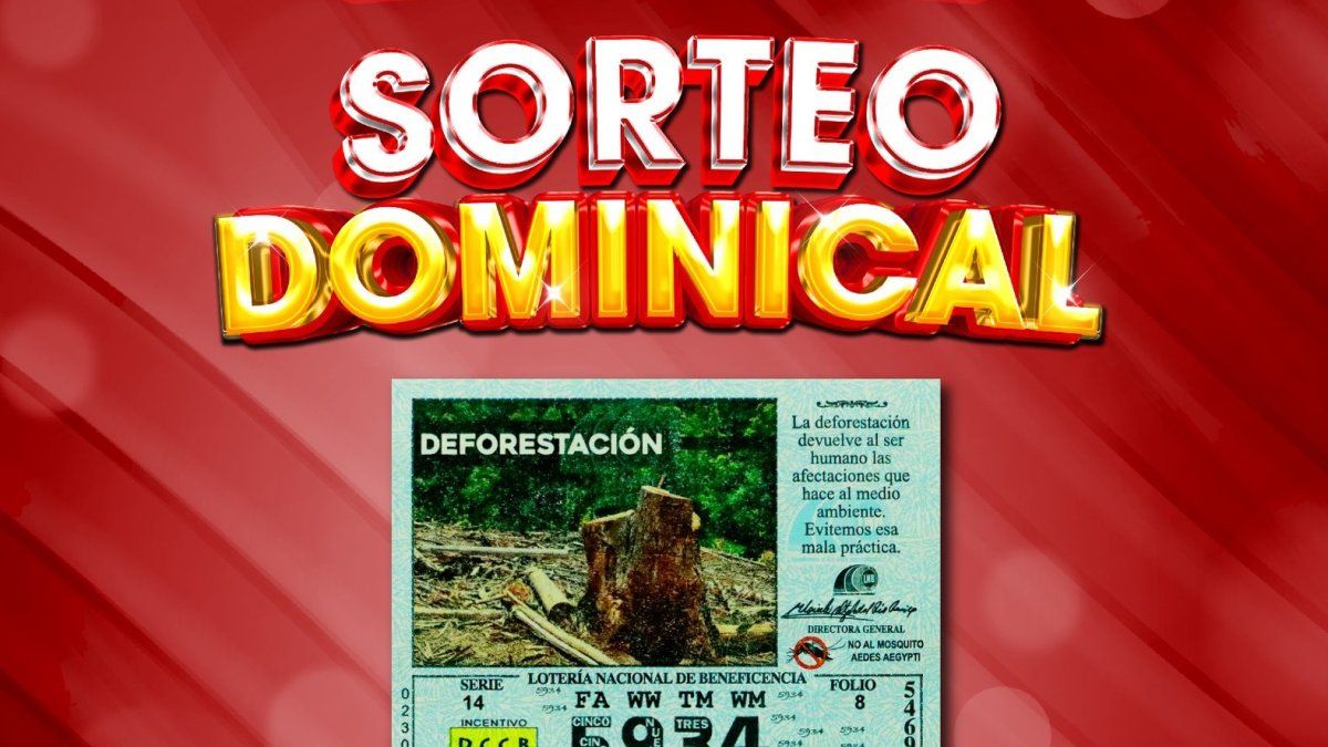 Resultados Lotería Nacional de Panamá EN VIVO: Sorteo del 13 de octubre de 2024