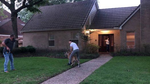 Según reportes de prensa, el tigre vivía en una casa alquilada por Víctor Cuevas.