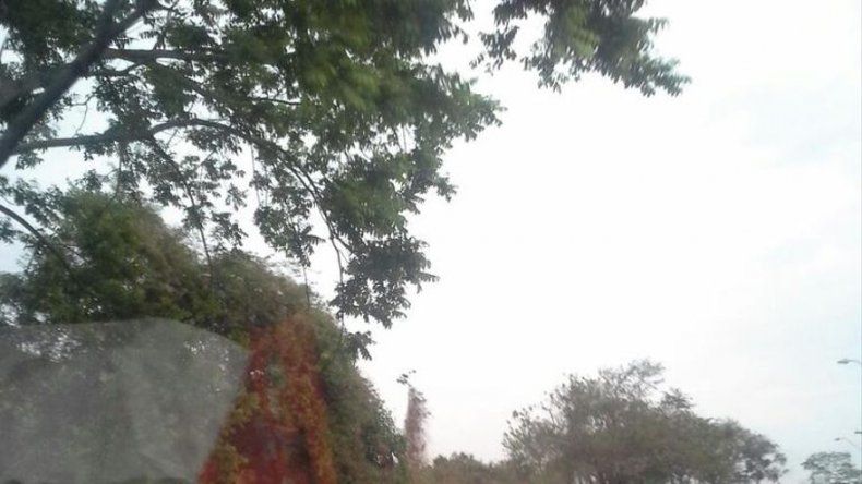 Dos busitos colisionaron en Veracruz, varios heridos
