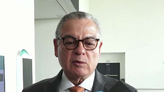 Contralor general de la República, Anel Bolo Flores.