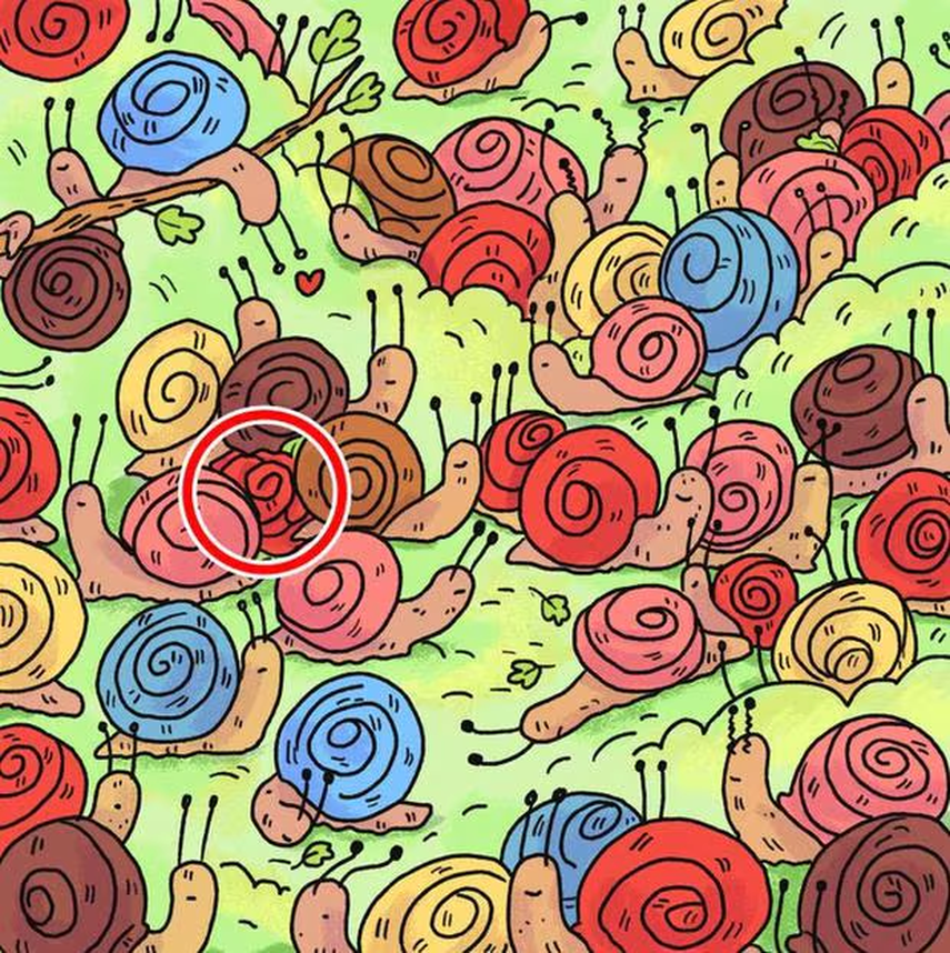 Respuesta del acertijo visual Respuesta del acertijo visual