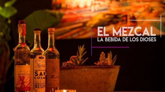 Historia, tradiciones y sabor en un solo shot: El Mezcal