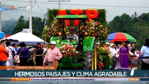 Parada de las Flores: Historia y cultura