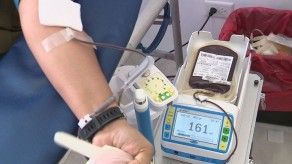 Panamá necesita donantes de sangre, los bancos están desabastecidos