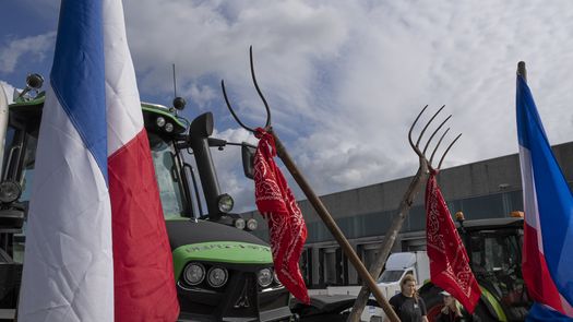 Los carteles y banderas colocados en los vehículos mostraban mensajes como “Nuestros agricultores y ganaderos, nuestro futuro”.
