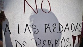 Caso de perros asesinos da desconfianza a mexicanos de autoridades