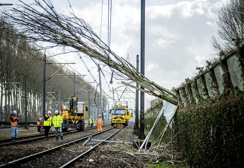 La tormenta Eunice provocó la caída de árboles en muchas rutas o daños en los cables aéreos.