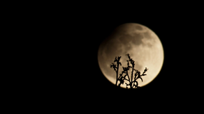 Eclipse Lunar Parcial