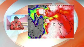 Lluvias y ráfagas de viento provocan caída de árboles en Panamá Este y Centro