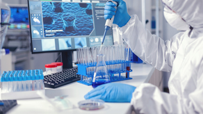 Gripe aviar. Panamá mantiene vigilancia Gripe aviar. Panamá mantiene vigilancia