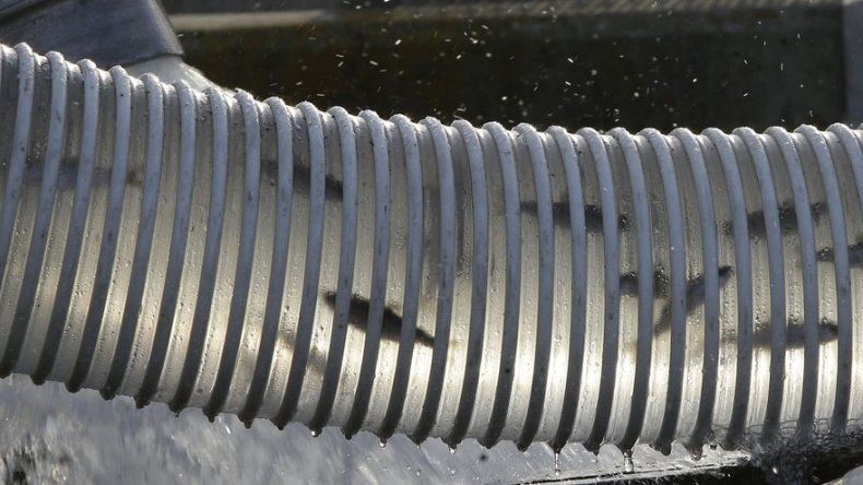 En California, los salmones migran en camión